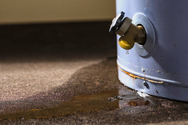 Best Flooded house restoration  in Elsmere, KY
