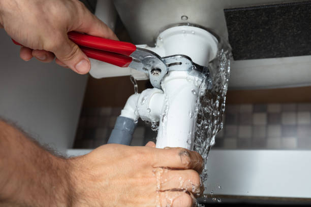 Best Water damage cleanup near me  in Elsmere, KY