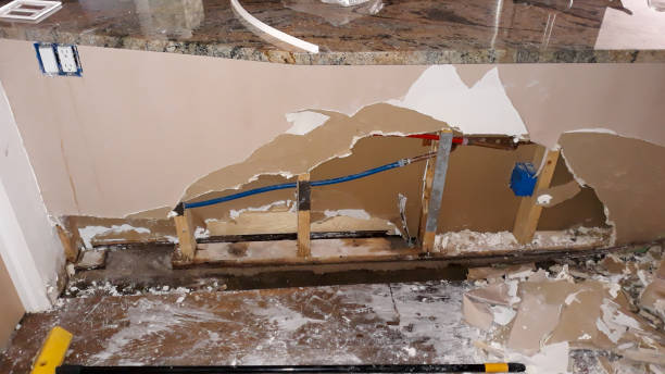 Best Water damage restoration company  in Elsmere, KY