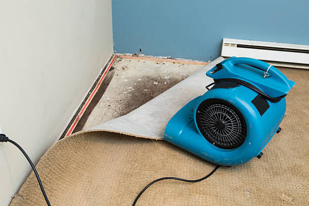 Best Residential water damage restoration  in Elsmere, KY