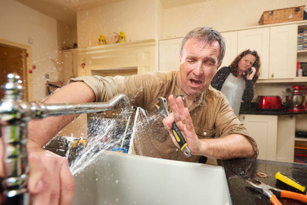 Best Local water damage restoration  in Elsmere, KY